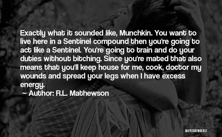 Misogynistic Quotes By R.L. Mathewson