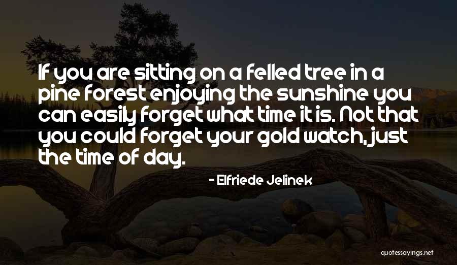 Misogynous Personality Quotes By Elfriede Jelinek Misogynous Personality Quotes By Elfriede Jelinek