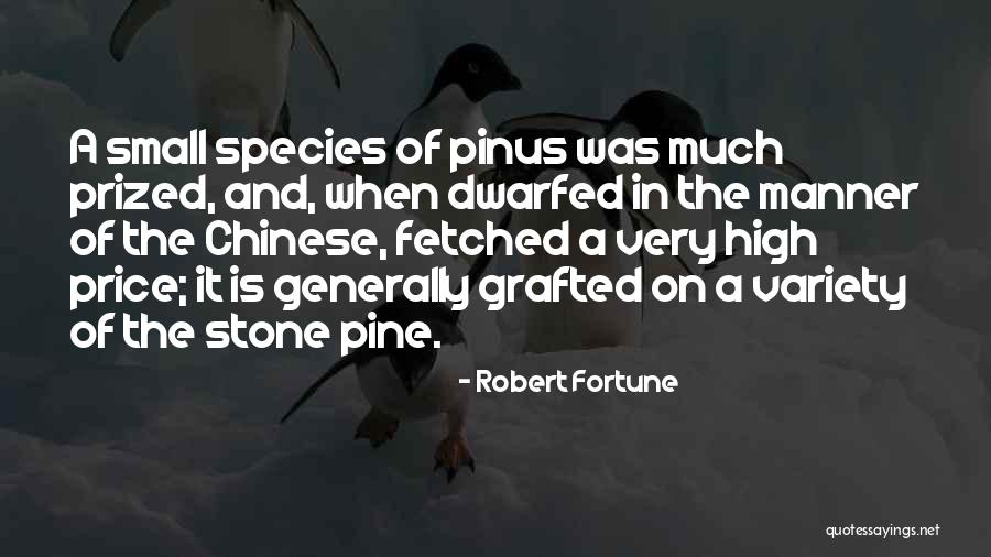 Misprints Cody Quotes By Robert Fortune Misprints Cody Quotes By Robert Fortune