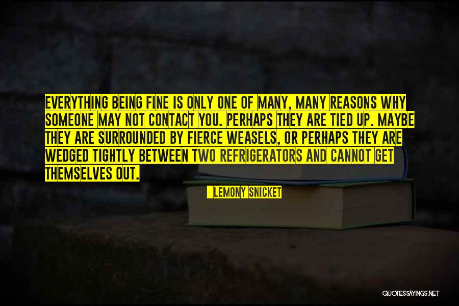 Misrecognitions Quotes By Lemony Snicket Misrecognitions Quotes By Lemony Snicket
