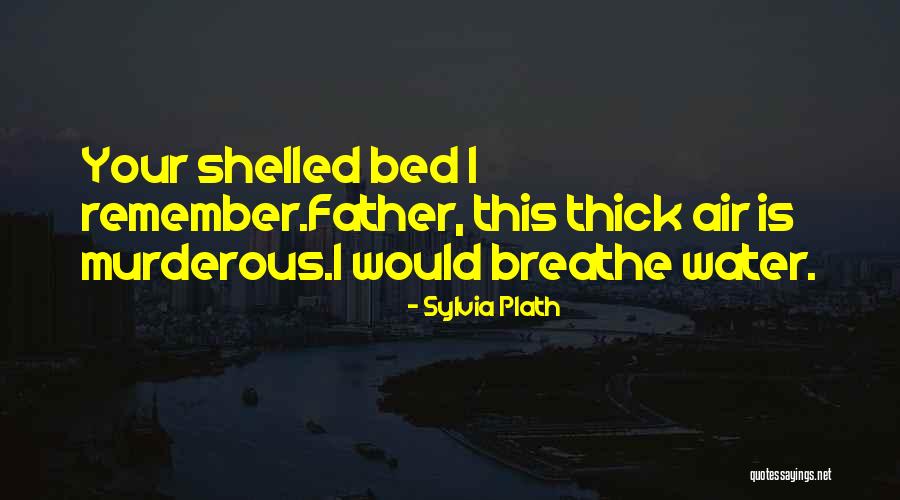 Misrepresented Description Quotes By Sylvia Plath Misrepresented Description Quotes By Sylvia Plath