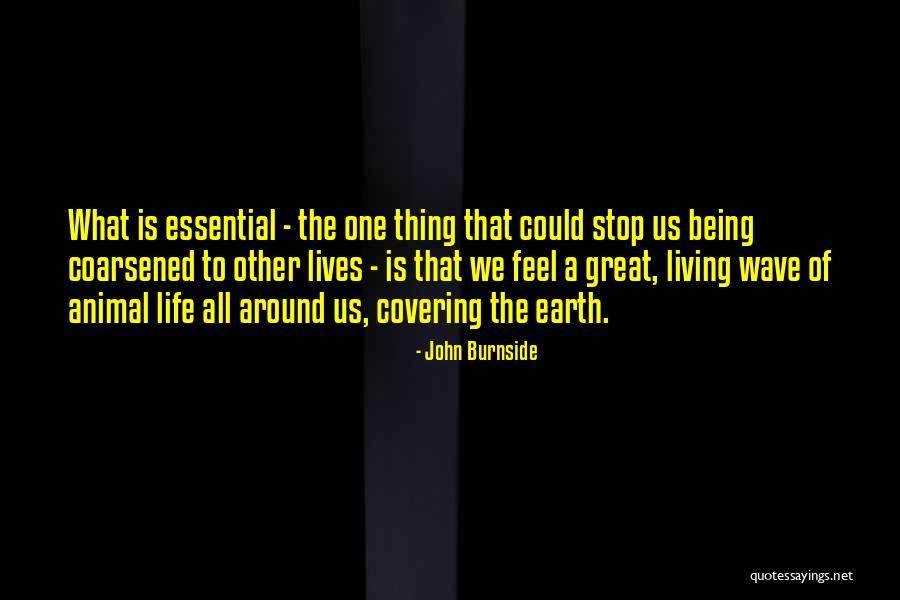 Misrepresented People Quotes By John Burnside Misrepresented People Quotes By John Burnside