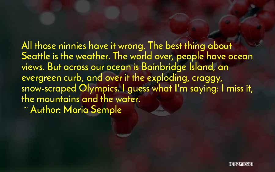 Miss All Quotes By Maria Semple