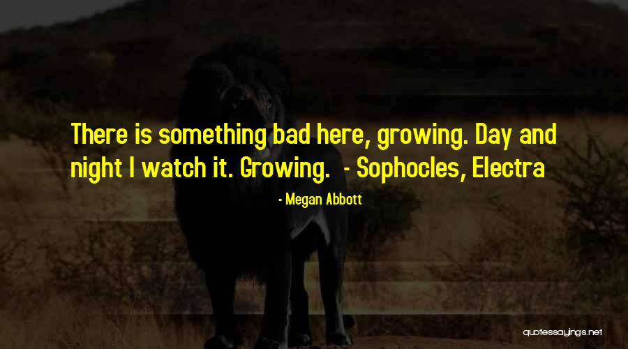 Miss Daddy Quotes By Megan Abbott Miss Daddy Quotes By Megan Abbott