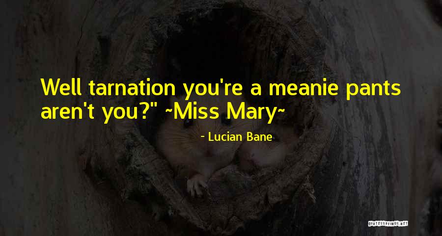 Miss Friendship Quotes By Lucian Bane