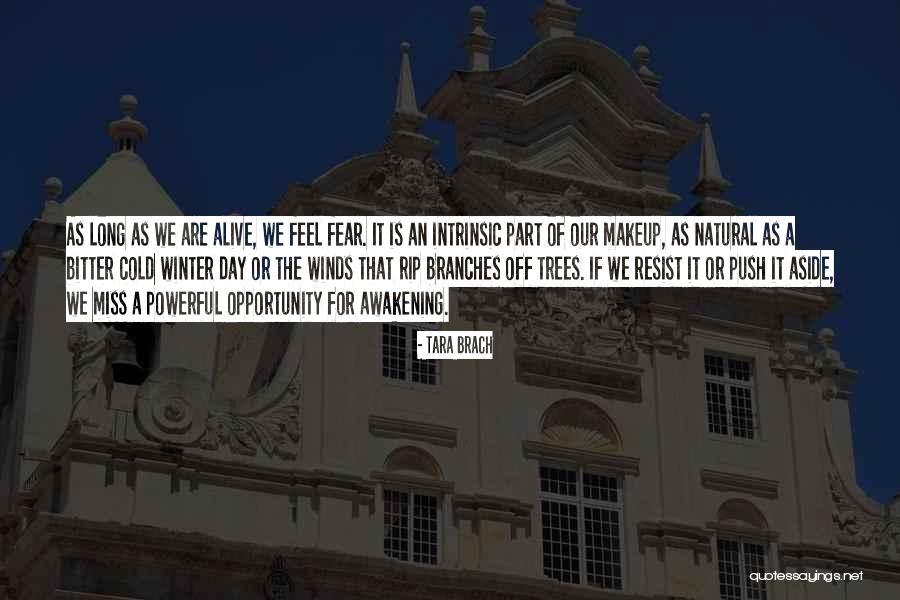 Miss Off Quotes By Tara Brach Miss Off Quotes By Tara Brach