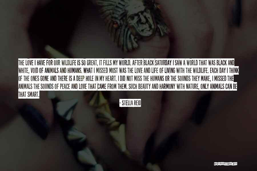 Miss Our Love Quotes By Stella Reid Miss Our Love Quotes By Stella Reid