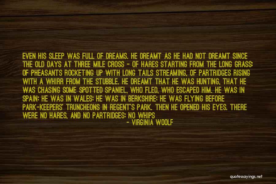 Miss Talking With You Quotes By Virginia Woolf