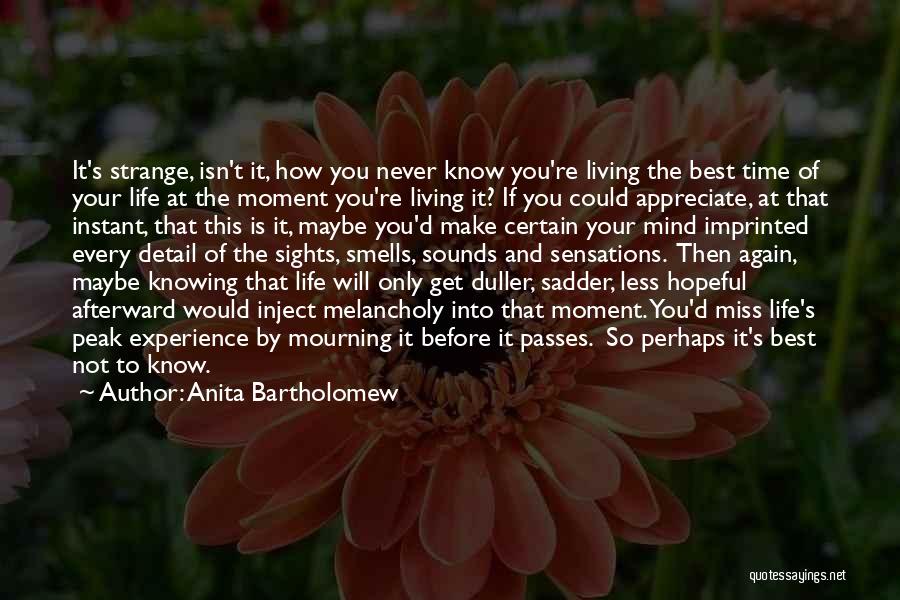 Miss The Moment Quotes By Anita Bartholomew