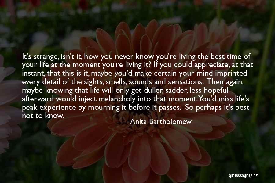 Miss The Moment Quotes By Anita Bartholomew