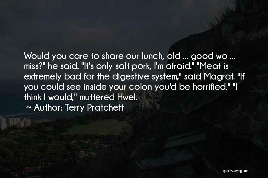 Miss The Old You Quotes By Terry Pratchett