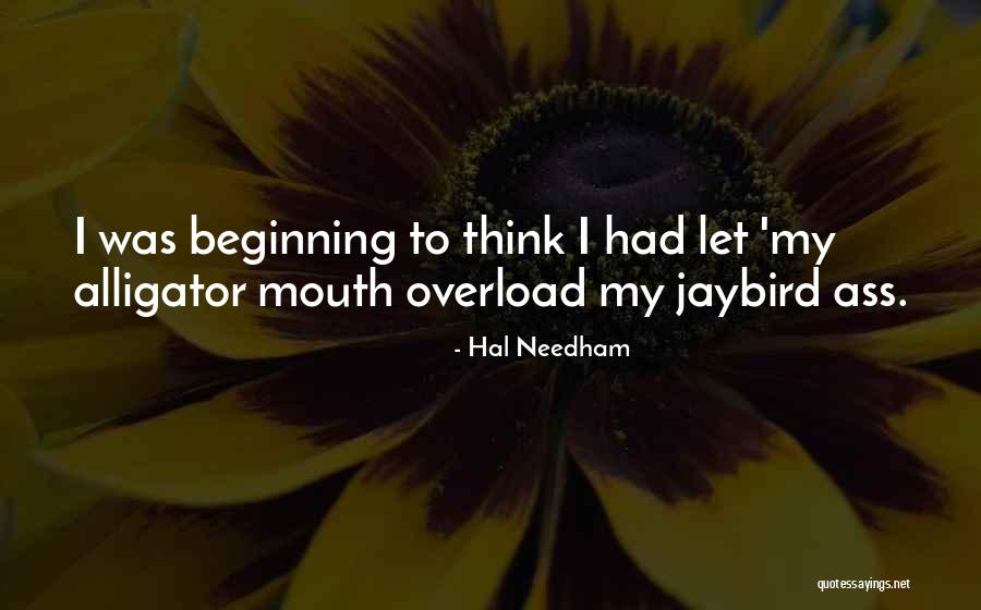 Miss U Bhai Quotes By Hal Needham Miss U Bhai Quotes By Hal Needham