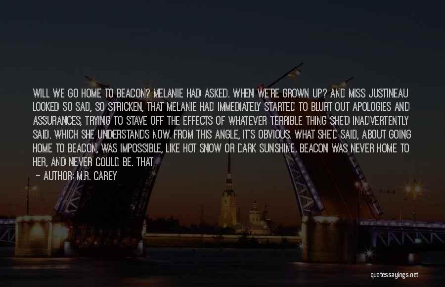 Miss What We Had Quotes By M.R. Carey