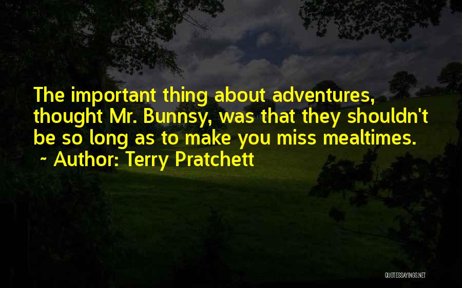 Miss You But I Shouldn't Quotes By Terry Pratchett