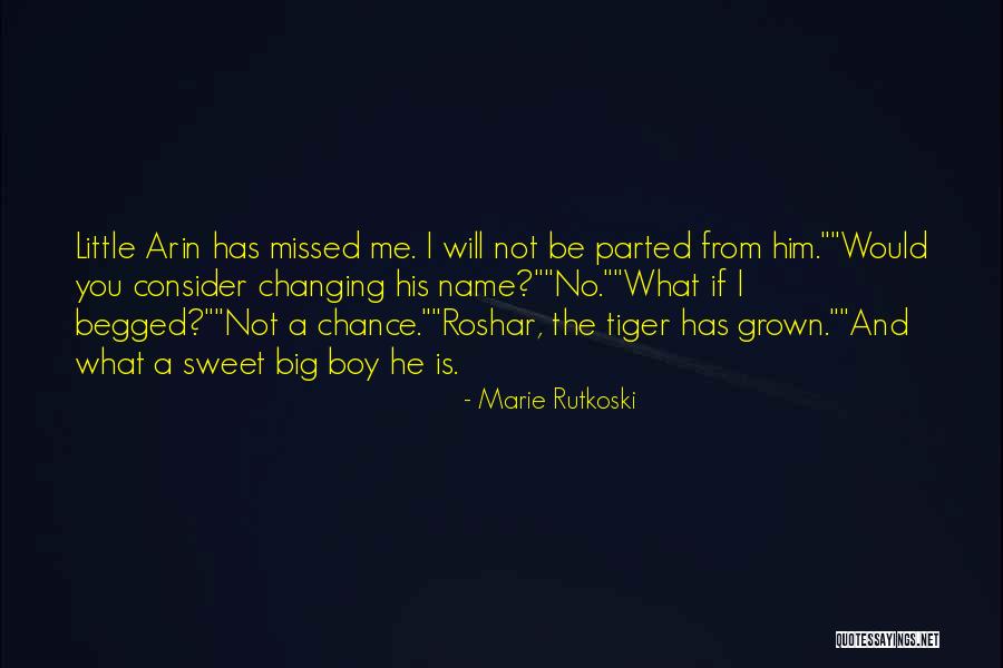 Missed Chance Quotes By Marie Rutkoski Missed Chance Quotes By Marie Rutkoski