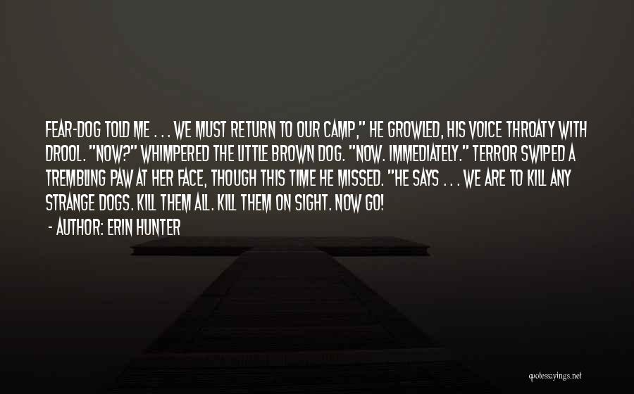 Missed Me Quotes By Erin Hunter