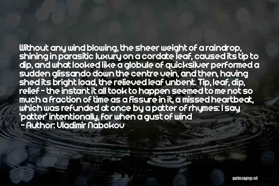 Missed Me Quotes By Vladimir Nabokov