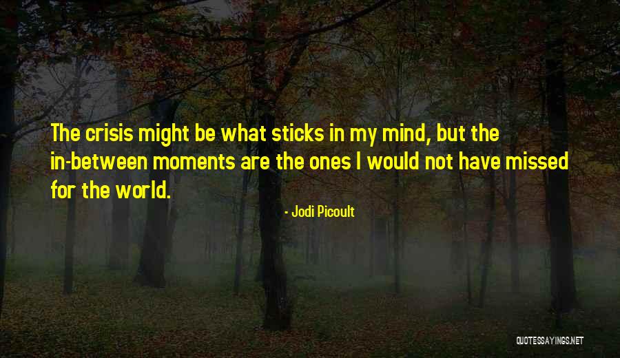 Missed Moments Quotes By Jodi Picoult Missed Moments Quotes By Jodi Picoult