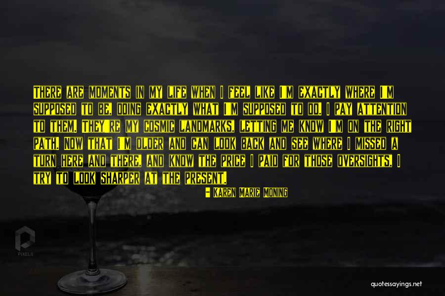 Missed Moments Quotes By Karen Marie Moning Missed Moments Quotes By Karen Marie Moning