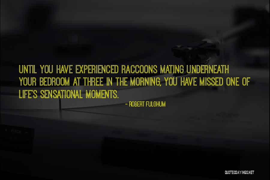 Missed Moments Quotes By Robert Fulghum Missed Moments Quotes By Robert Fulghum
