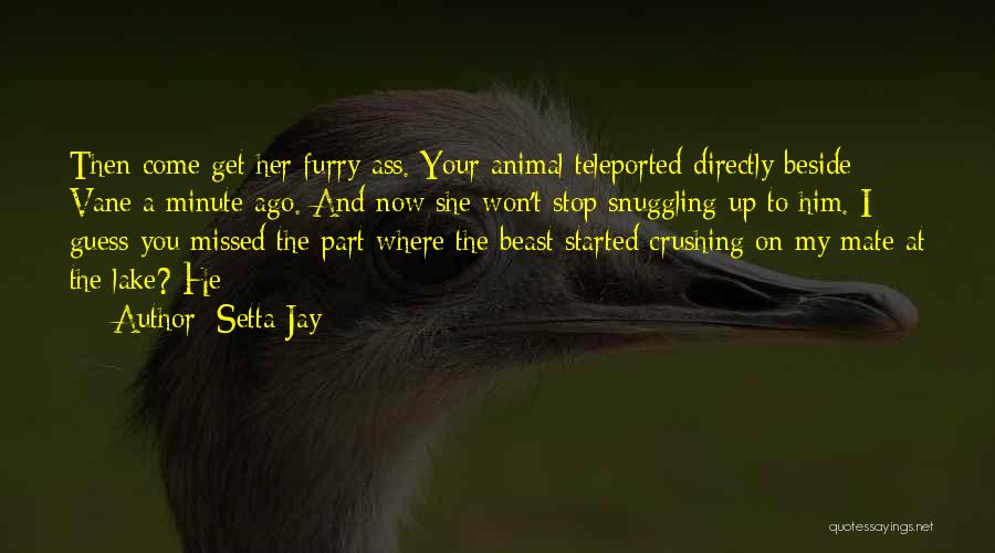 Missed You While You Were Gone Quotes By Setta Jay
