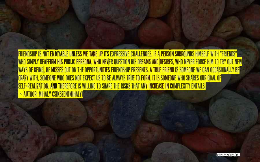 Misses Friend Quotes By Mihaly Csikszentmihalyi