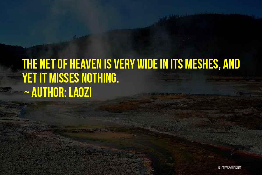 Misses Quotes By Laozi