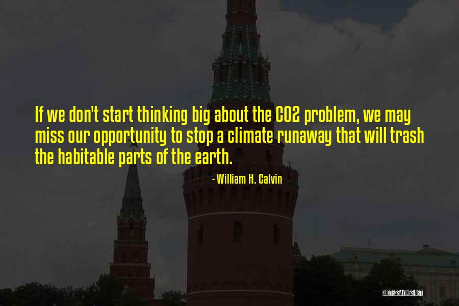 Missing An Opportunity Quotes By William H. Calvin Missing An Opportunity Quotes By William H. Calvin