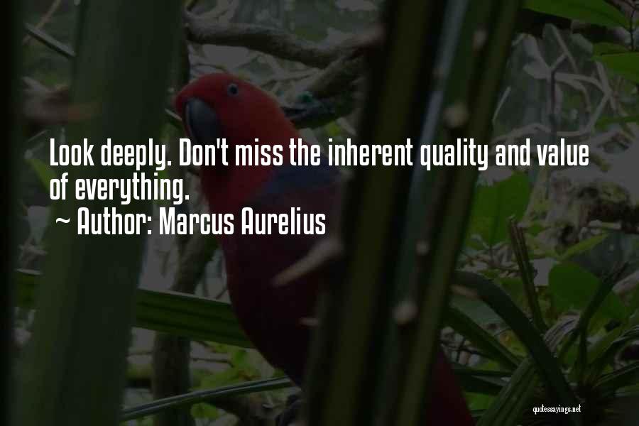 Missing Deeply Quotes By Marcus Aurelius