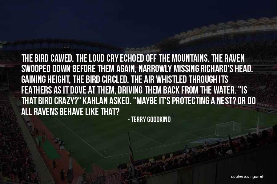 Missing Her Like Crazy Quotes By Terry Goodkind Missing Her Like Crazy Quotes By Terry Goodkind