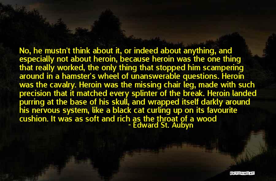 Missing Her Skull Quotes By Edward St. Aubyn Missing Her Skull Quotes By Edward St. Aubyn