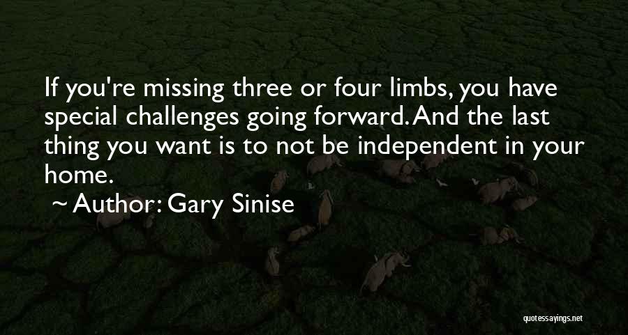 Missing Home Quotes By Gary Sinise