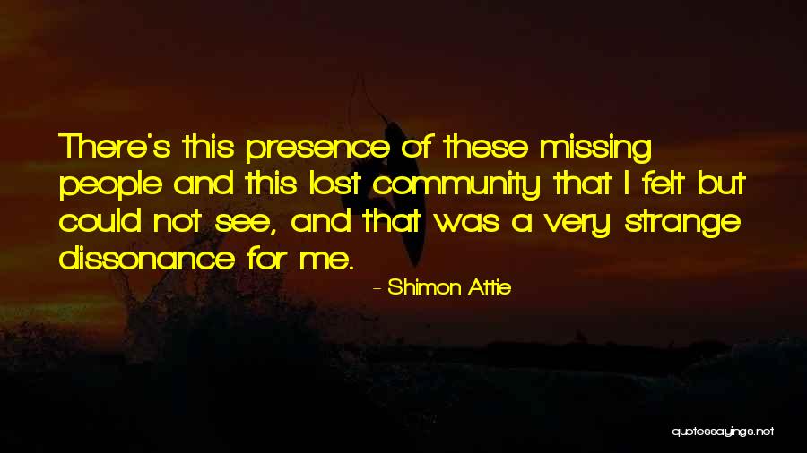 Missing Lost Ones Quotes By Shimon Attie