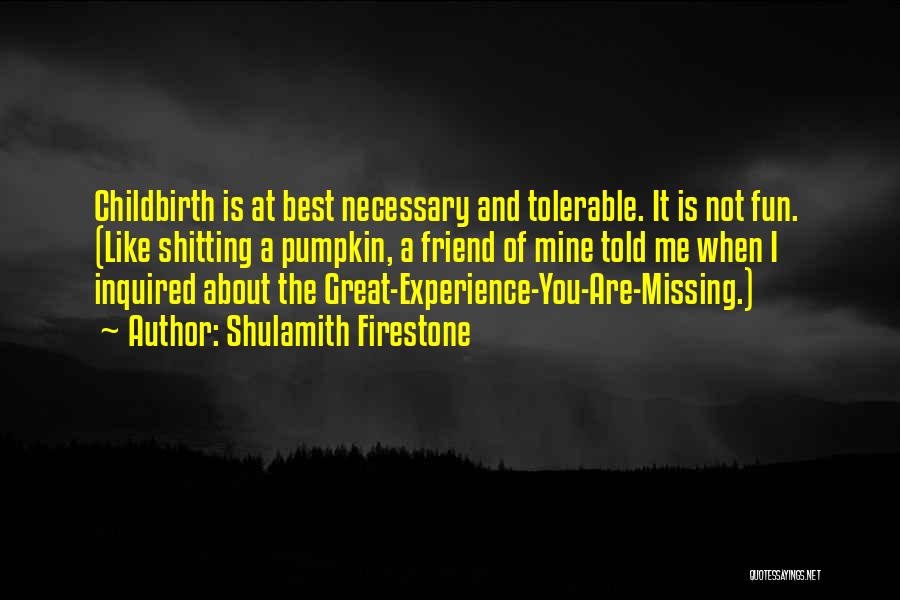 Missing My Best Friend Quotes By Shulamith Firestone