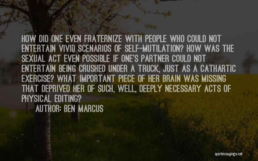 Missing Piece Quotes By Ben Marcus