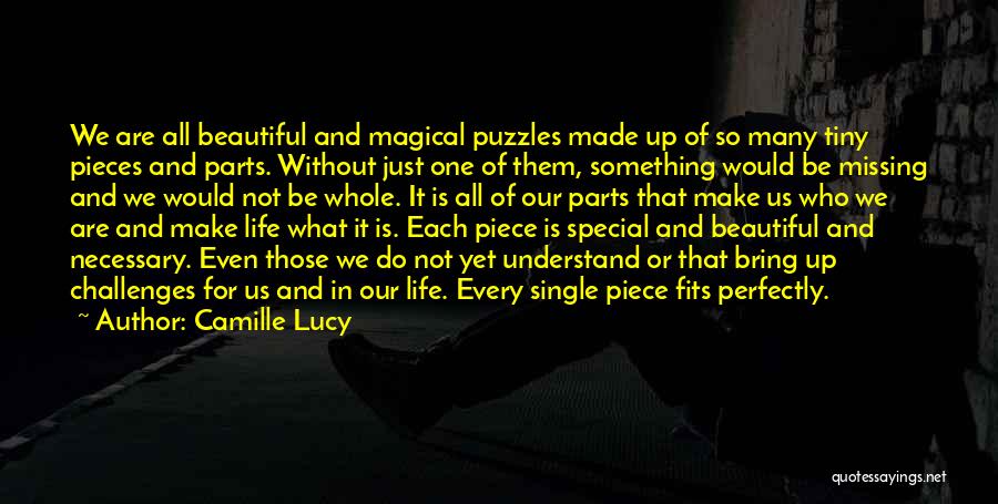 Missing Piece Quotes By Camille Lucy