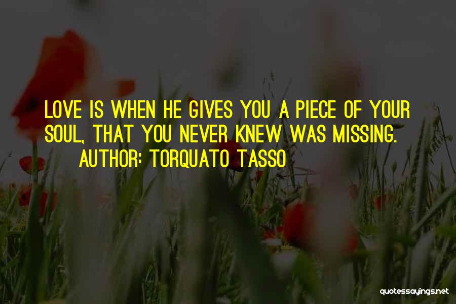 Missing Piece Quotes By Torquato Tasso