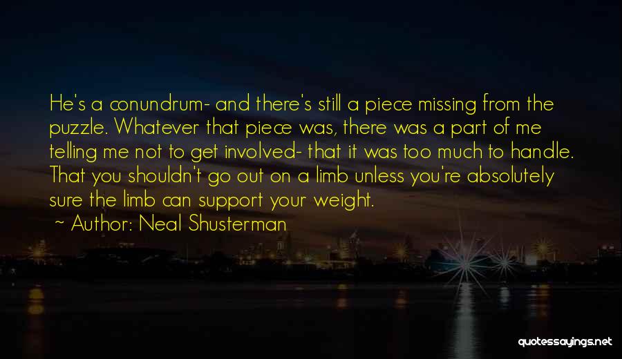 Missing Puzzle Pieces Quotes By Neal Shusterman