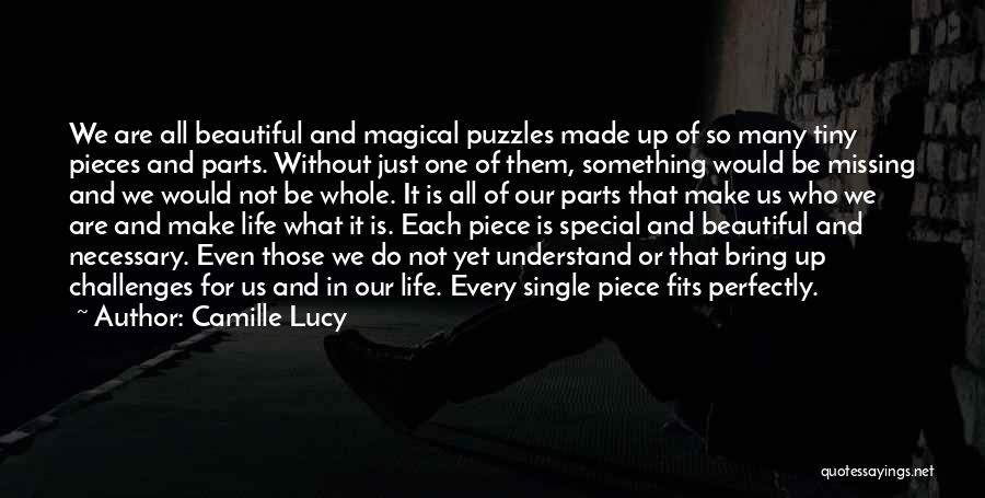 Missing Puzzles Quotes By Camille Lucy