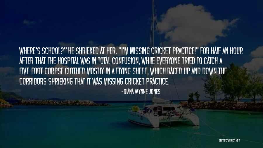Missing School Quotes By Diana Wynne Jones Missing School Quotes By Diana Wynne Jones