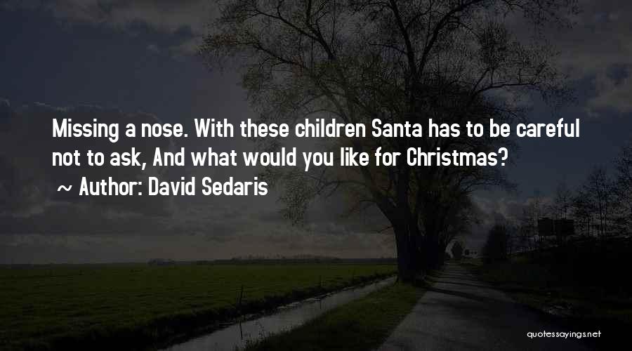 Missing Someone This Christmas Quotes By David Sedaris