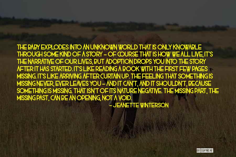 Missing Someone When You Shouldn't Quotes By Jeanette Winterson