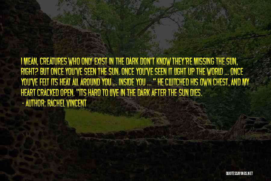 Missing Someone You Don't Know Quotes By Rachel Vincent