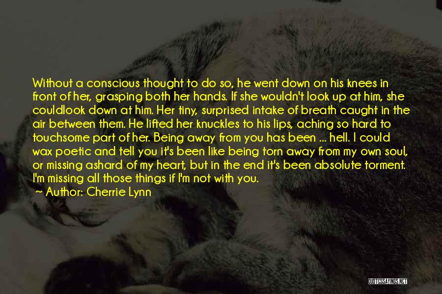 Missing Someone's Touch Quotes By Cherrie Lynn