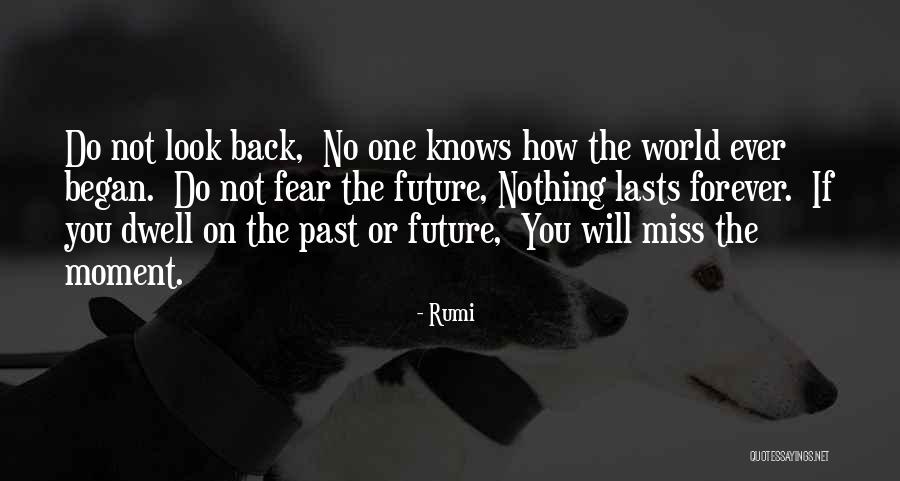 Missing The Future Quotes By Rumi Missing The Future Quotes By Rumi
