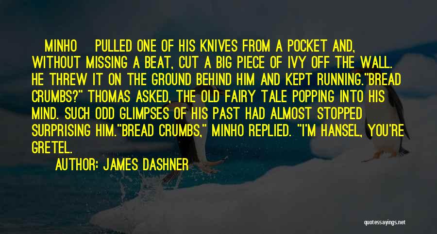 Missing The Past Quotes By James Dashner