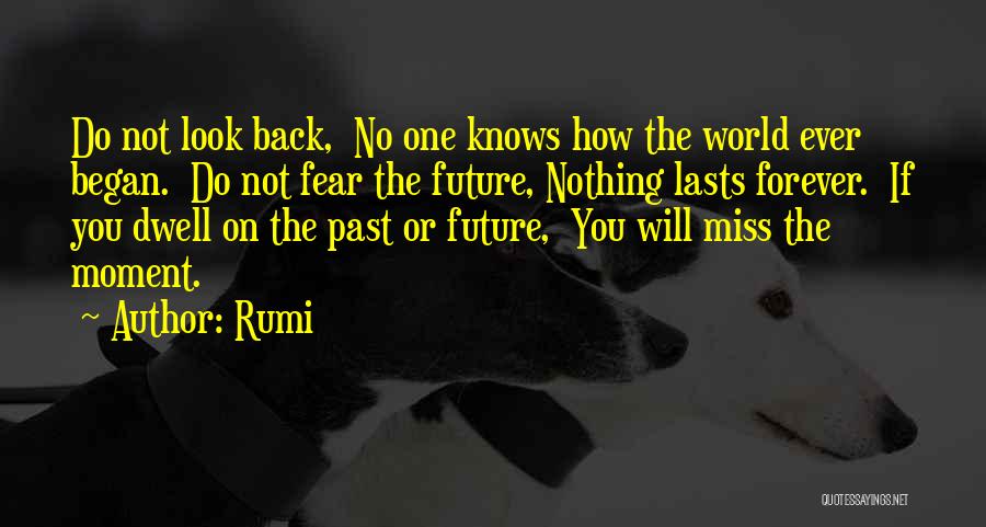 Missing The Past Quotes By Rumi