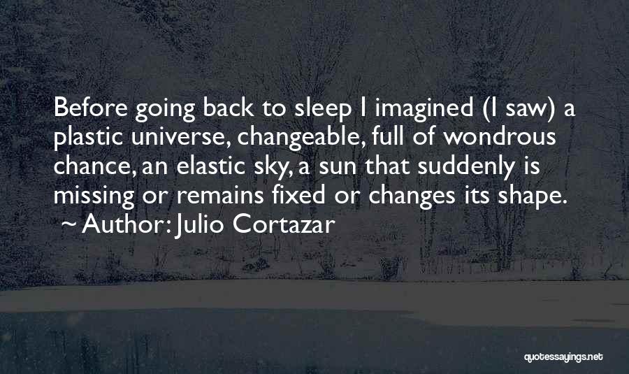 Missing You Can't Sleep Quotes By Julio Cortazar