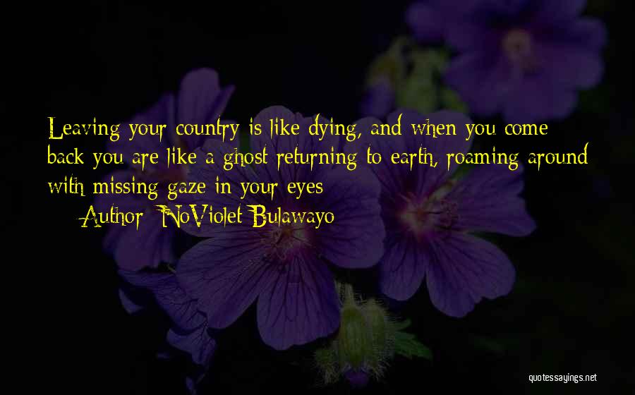 Missing You Dying Quotes By NoViolet Bulawayo