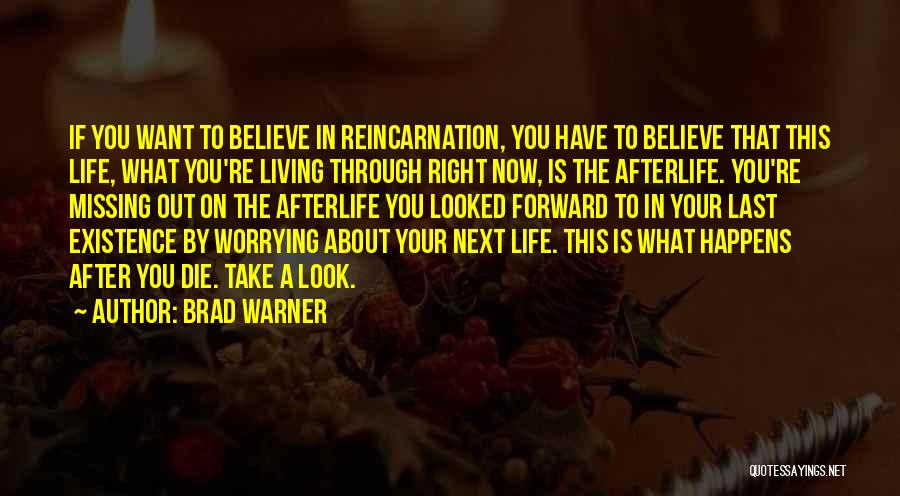 Missing You Right Now Quotes By Brad Warner